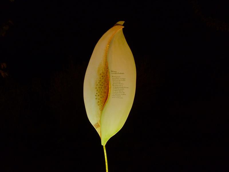 P1020860
