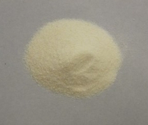 caseina